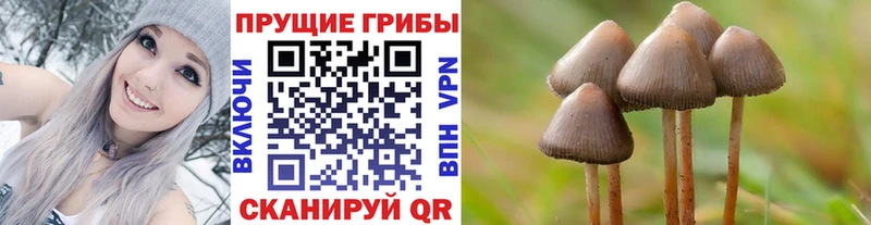 Псилоцибиновые грибы Psilocybine cubensis  мега маркетплейс  Жирновск 
